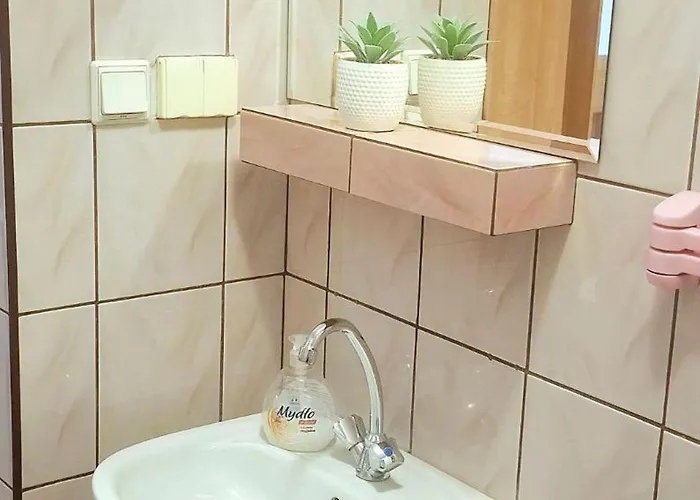 홈스테이 Rysowka