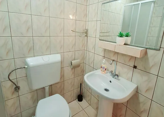 홈스테이 Rysowka