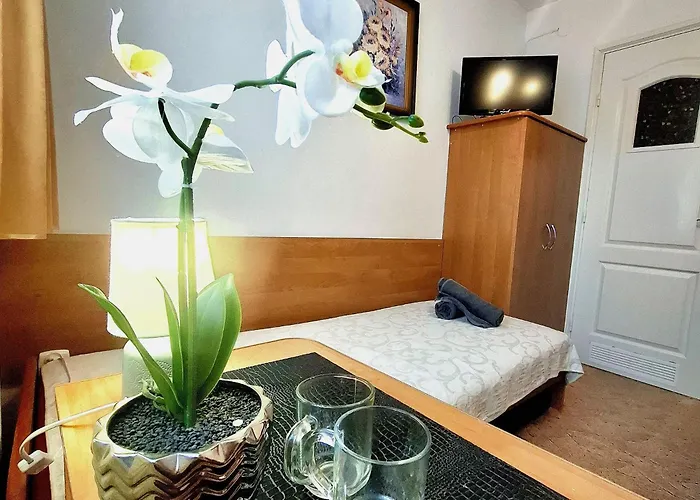 Rysowka 홈스테이 포로닌